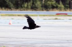 IMG_0285.jpg