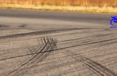 IMG_0270.jpg